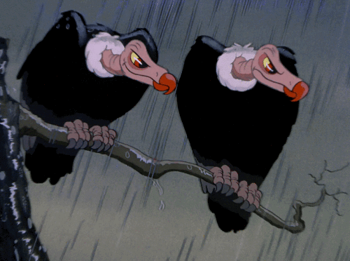 Vultures visual